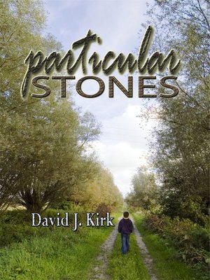 cover image of Particular Stones